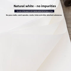 Xuan Paper - Cooked,Semi-cooked rice paper for calligraphy practice, Chinese painting, landscape painting, and fine brushwork